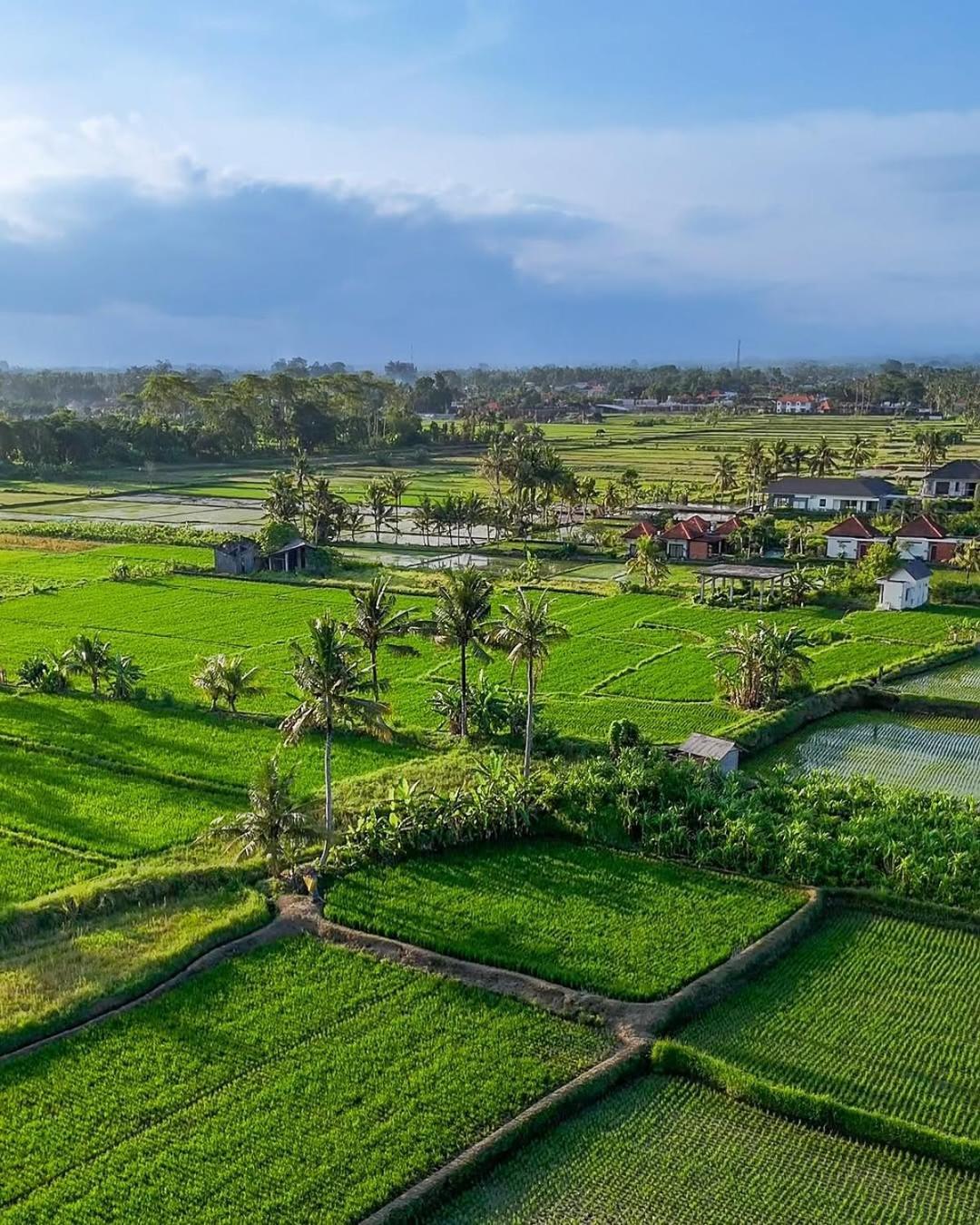 Villa Ikada By Pramana *